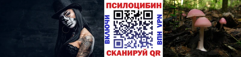 Галлюциногенные грибы Psilocybe Орлов